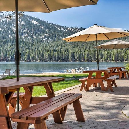 Cozy Studio W/Kitchenette Easily Accessible #113 At Donner Lake Village Truckee Exterior photo
